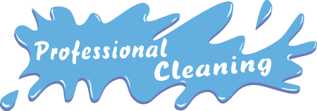 Professional Cleaning